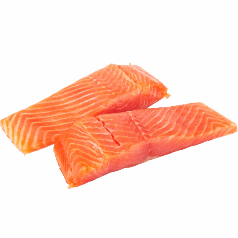 Salmon